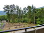 ライオンズガーデン箱根弐番館 バルコニーから右側の眺望