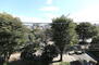 ニックハイム蒲田 【バルコニーからの眺望】蒲田一丁目公園の木々を望めます。