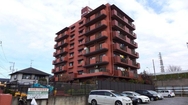 セザール大宮中央公園 1階 3LDK