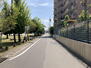 グランドメゾン桑名　壱番館 前面道路