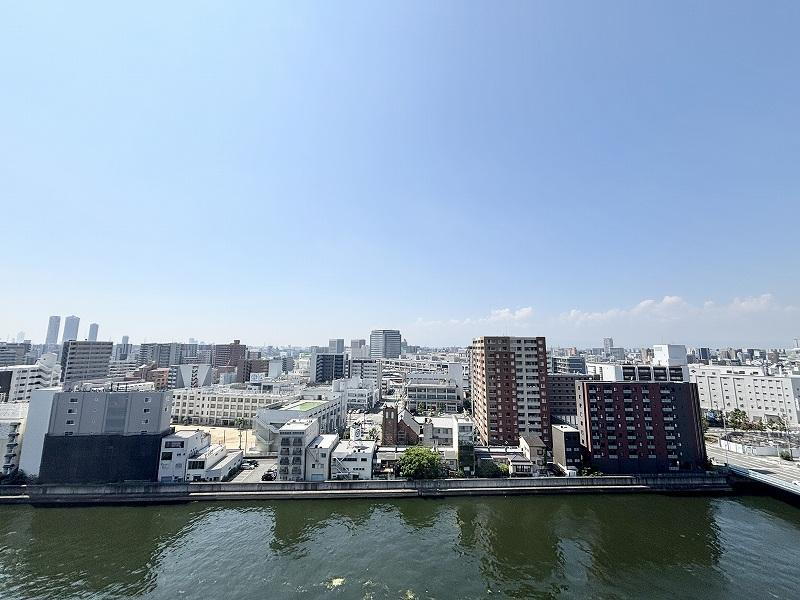 阿波座ライズタワーズ フラッグ46 12階 1LDK