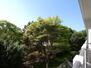 ウィズフィール京都山科 【バルコニーからの眺望】<BR>東野公園の緑を眺められるバルコニー。四季折々の自然を身近に感じられ、静かに落ち着いて過ごせるお部屋です