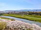 グランデュール鴨川Ⅲ番館