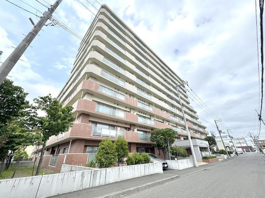 クルーザーバレー白石