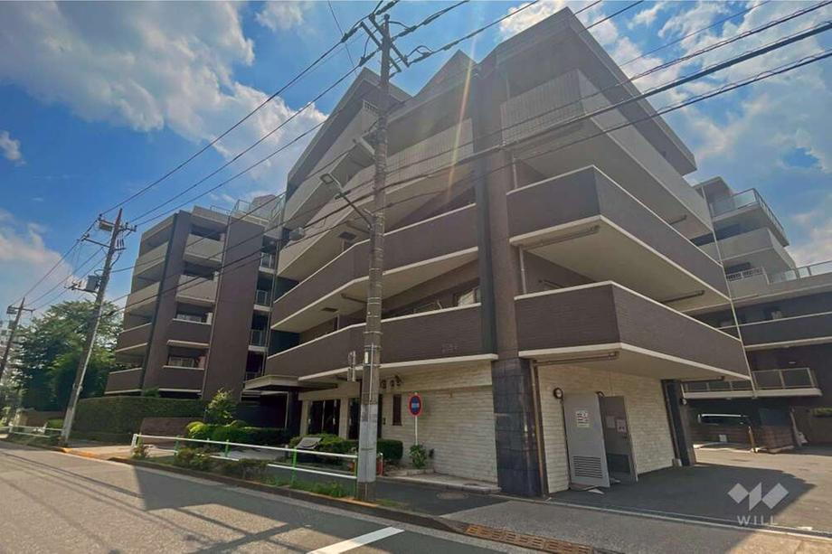 レクセルマンション本蓮沼