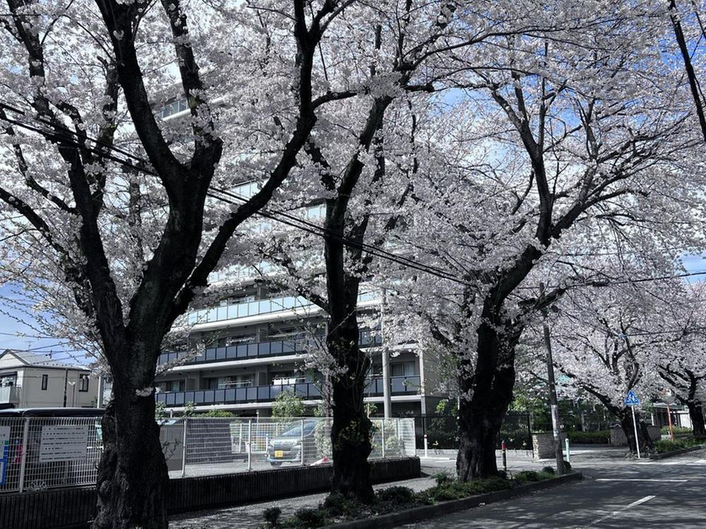 プレシス淵野辺桜レジデンス