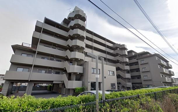 コスモ若葉