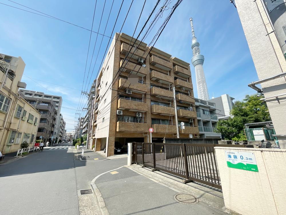アルカディア東駒形