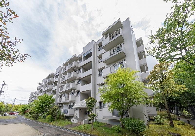若山台第３住宅１９号棟