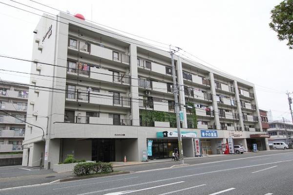 サンシャイン野間