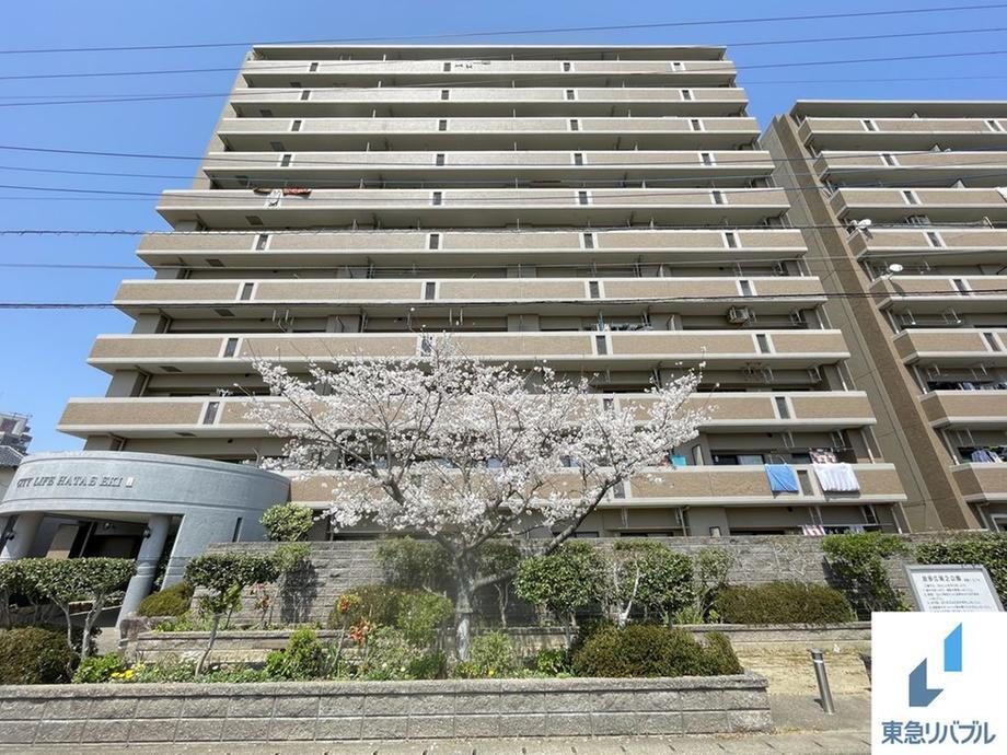 三愛シティライフ波多江駅ＩＩ
