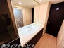ヴァンデュール新大阪ＣｉｔｙＬｉｆｅ 三面鏡タイプのシャワー付洗面化粧台