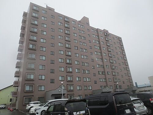 北海道苫小牧市柳町４丁目 地上11階地下1階建