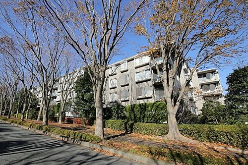 コープ野村緑山ヒルズ弐番館