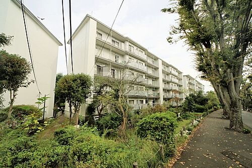 宮前平グリーンハイツ３７号棟