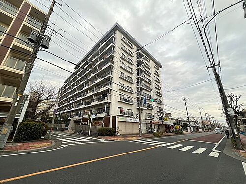 ～ペット相談可～ハイストンハイツ