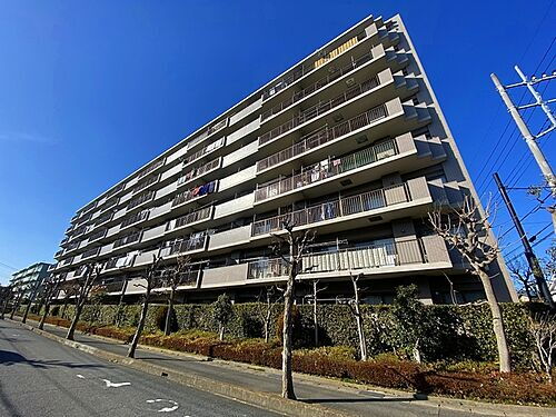 ヴィルヌーブ大宮