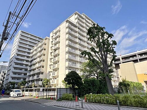 東京都品川区勝島１丁目 14階建