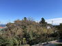 ロイヤルヴュー川奈 バルコニーからの眺望