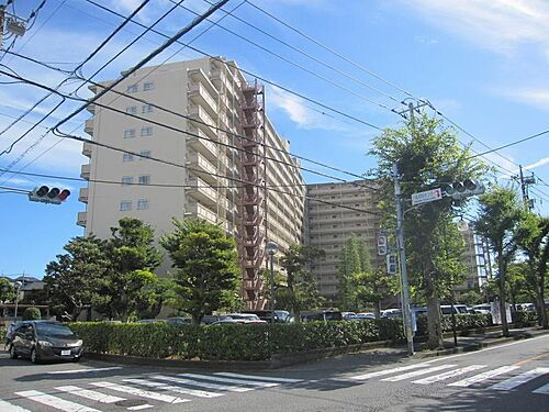 ファミール南常盤平　８階