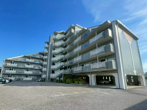 セントエルモ南柏