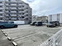バンベール海南 個々の駐車スペースに余裕が感じられる平面駐車場