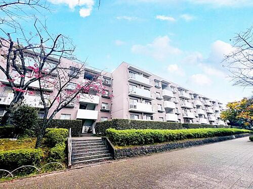 北柏ライフタウン　１５号棟