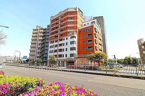 ７２のリノベ３ＬＤＫ、子育てにロワール東白楽８階