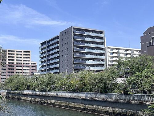 シャリエ清澄白川