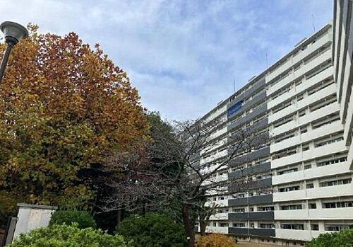 県ドリームハイツ１７号棟