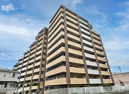 サンクレイドル領家