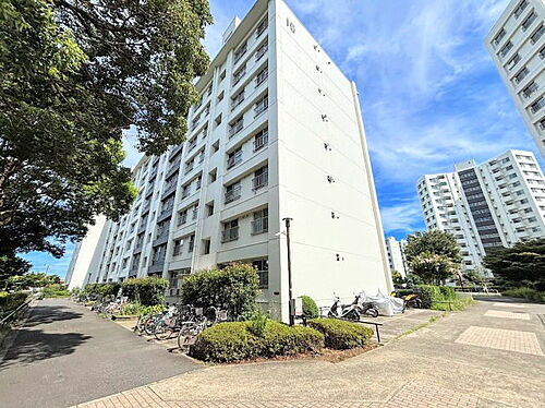 県ドリームハイツ　１５号棟