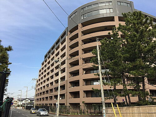 神奈川県平塚市高浜台 地上11階地下1階建