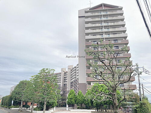 神奈川県厚木市恩名５丁目 14階建