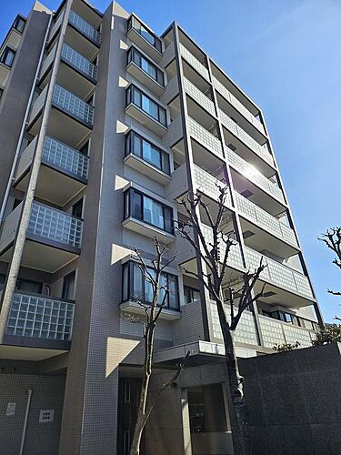 東京都墨田区文花２丁目 7階建