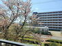 六実マンション バルコニーからの眺望　桜を楽しめます
