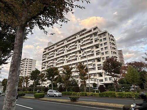 東京都江戸川区清新町１丁目 14階建