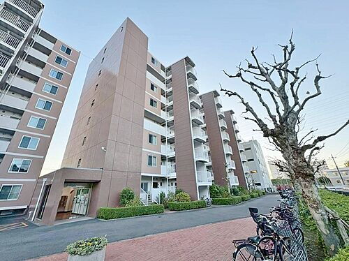 千葉県松戸市新松戸北２丁目 8階建