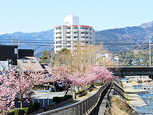 ロワジール熱川南