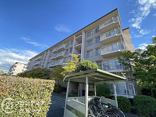 光明池駅前第３住宅１１号棟　中古マンション