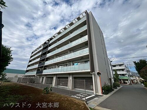 ベルドゥムール草加金明通り