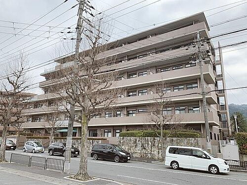 ルネス・ピース醍醐