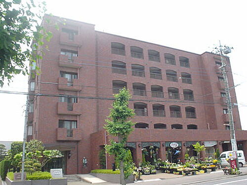 シャドム御茶園