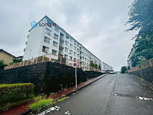 ハイネス入間ガーデニア 1階 3DK