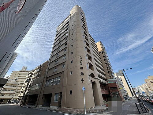 パラッシオ国泰寺