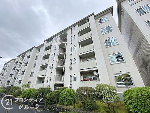 藤阪ハイツＤ六棟　中古マンション