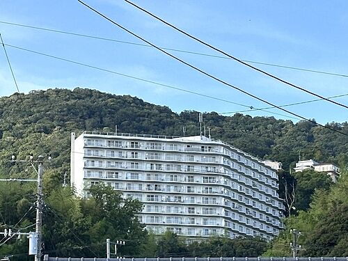 静岡県伊東市宇佐美 10階建