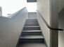 エンゼルハイムリバーサイド墨田 共用部の階段です。明るく清潔に管理されています。
