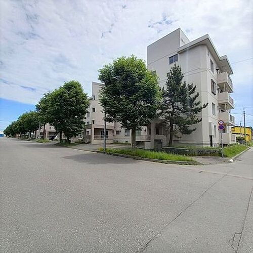 日欧パーク元中野Ａ棟１０５号室リフォーム済み