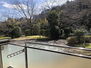 サニークレスト伊東弐番館 バルコニーからの眺め。四季の移り変わりをお楽しみください